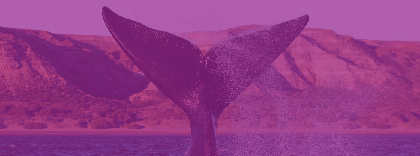 Terminal de Puerto Madryn